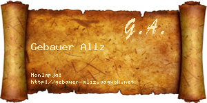 Gebauer Aliz névjegykártya